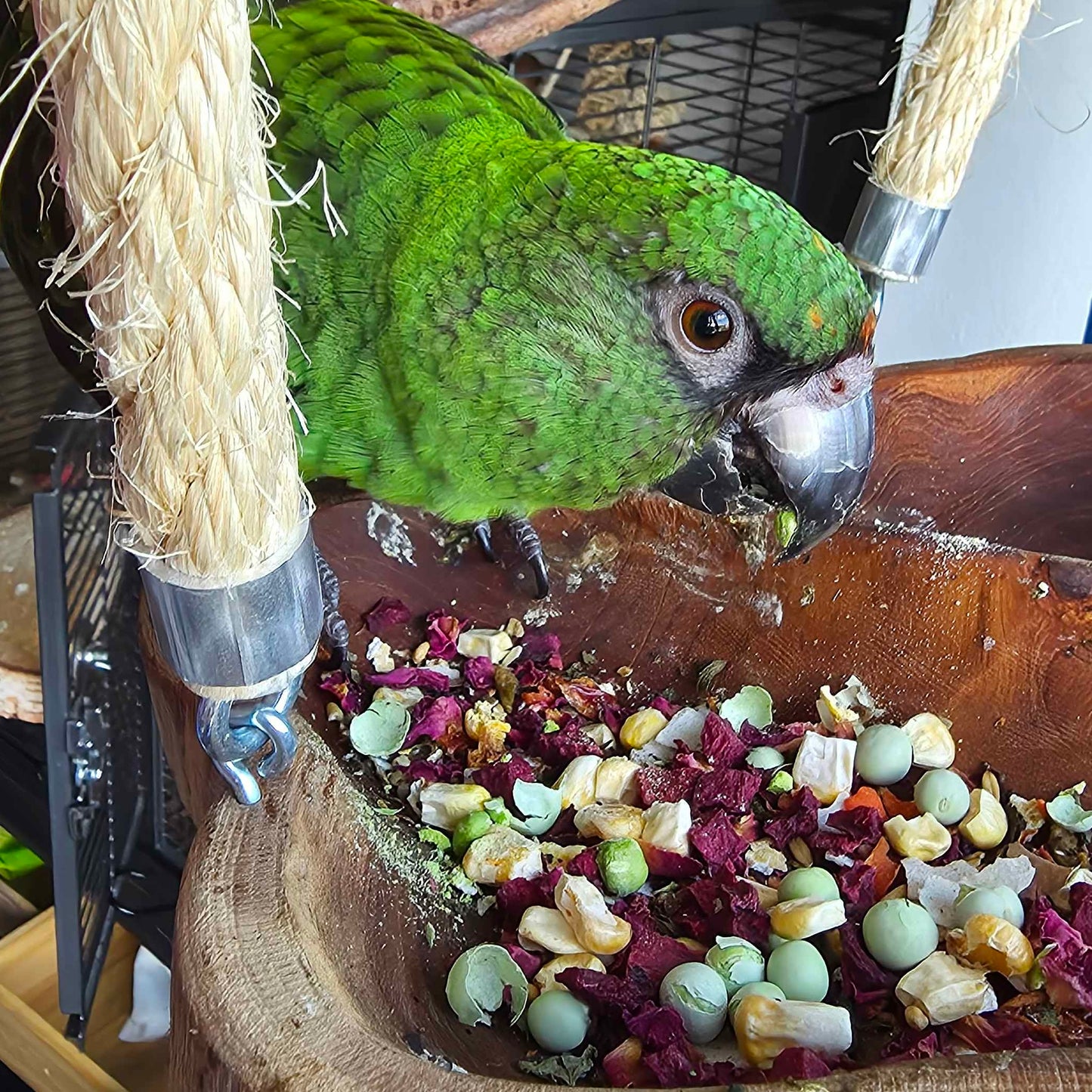 Tricolour Freeze Dried Vegetables for Parrots 75g - Best Behaved Birds