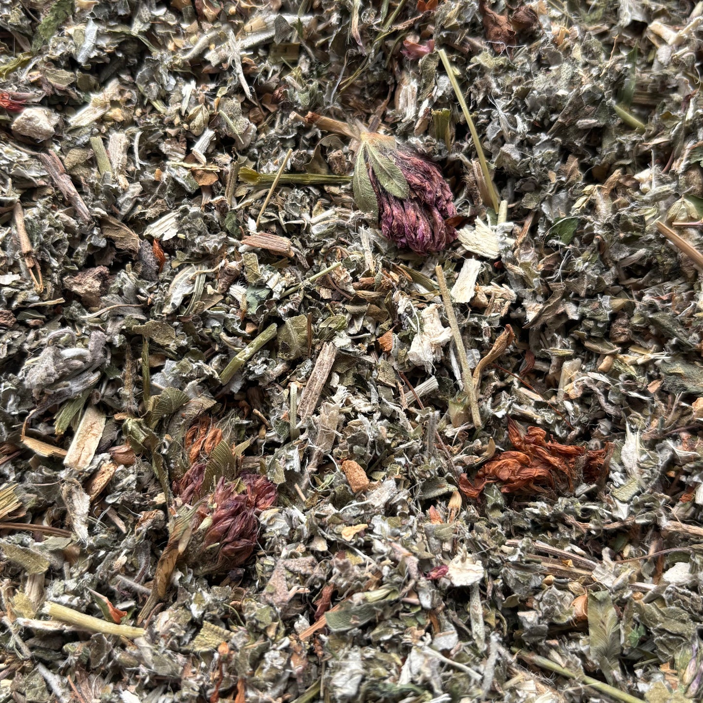 Hormone Homeostasis Avian Tea - 4oz - Biodiversity Bird Blends