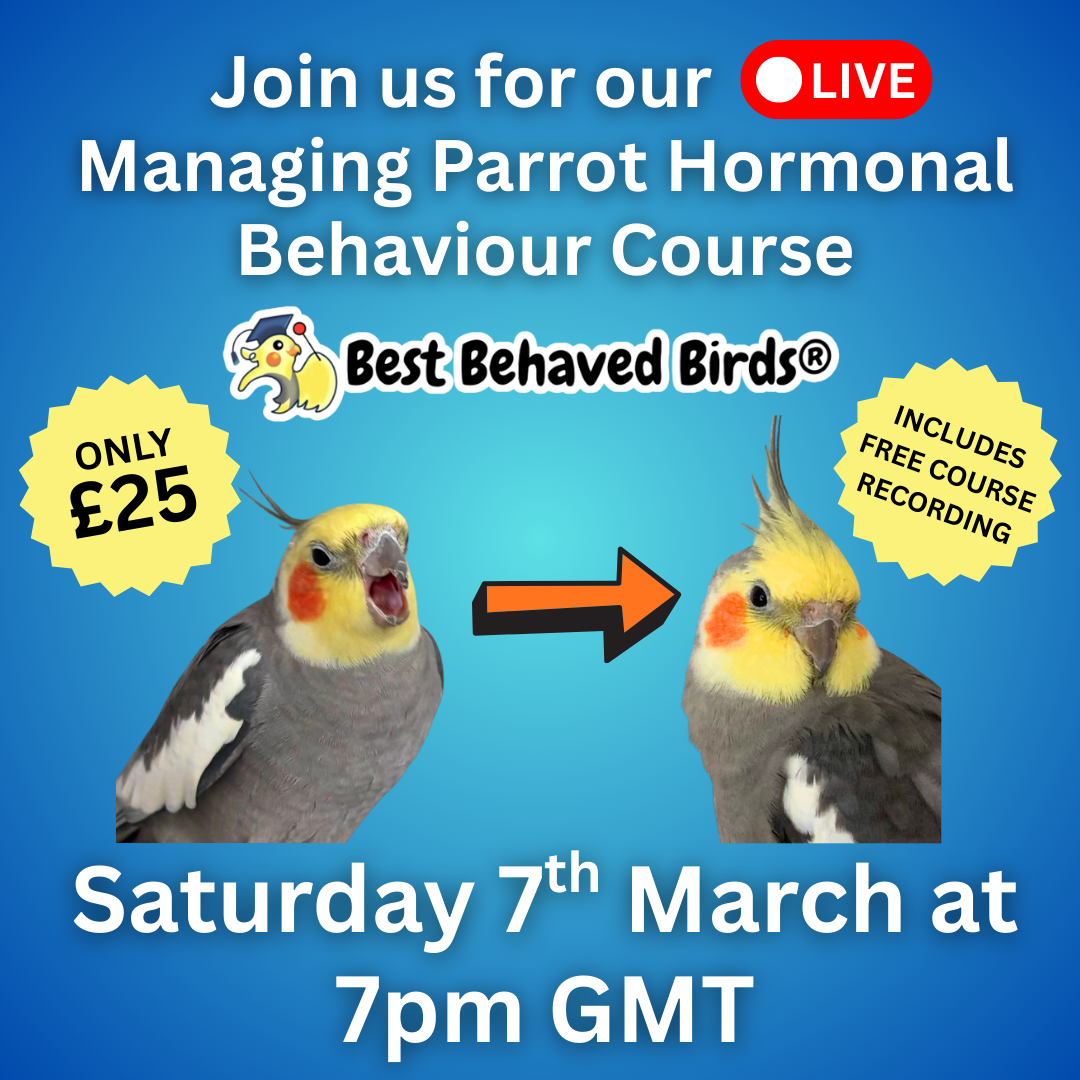 LIVE Managing Parrot Hormonal Behaviour Course - 7pm GMT 7th March - Best Behaved Birds