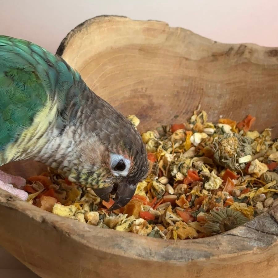 Bird Digestive Support Mix 125g - Best Behaved Birds