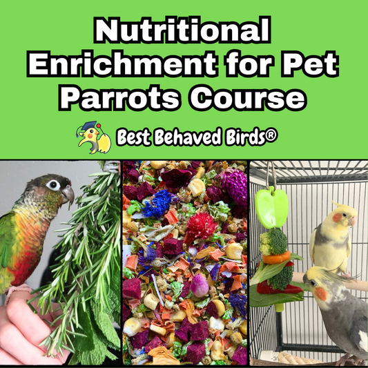 Nutritional Enrichment for Pet Parrots Course