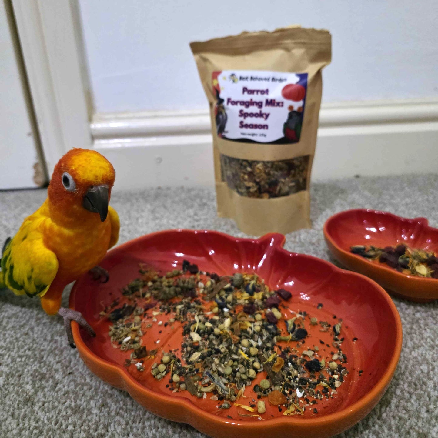 Parrot Foraging Mix: Spooky Season - Limited Edition 125g - Best Behaved Birds