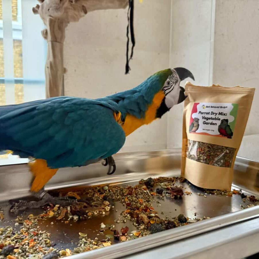 Parrot Dry Mix: Vegetable Garden 125g - Best Behaved Birds
