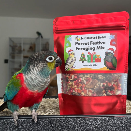Parrot Festive Foraging Mix - Limited Edition 125g -  Best Behaved Birds