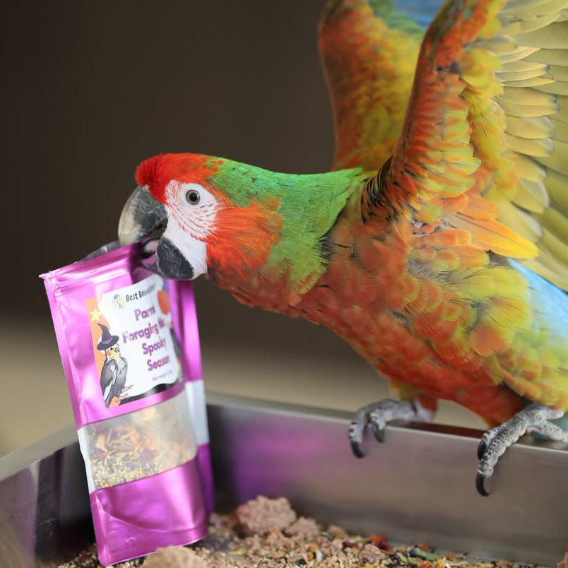 Parrot Foraging Mix: Spooky Season - Limited Edition 125g - Best Behaved Birds