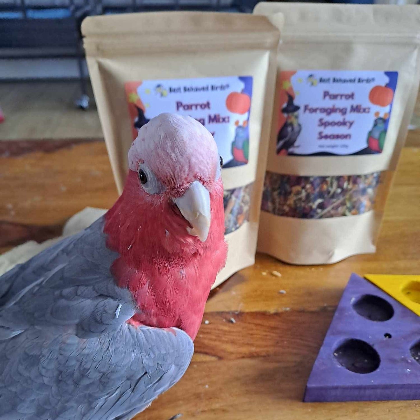 Parrot Foraging Mix: Spooky Season - Limited Edition 125g - Best Behaved Birds