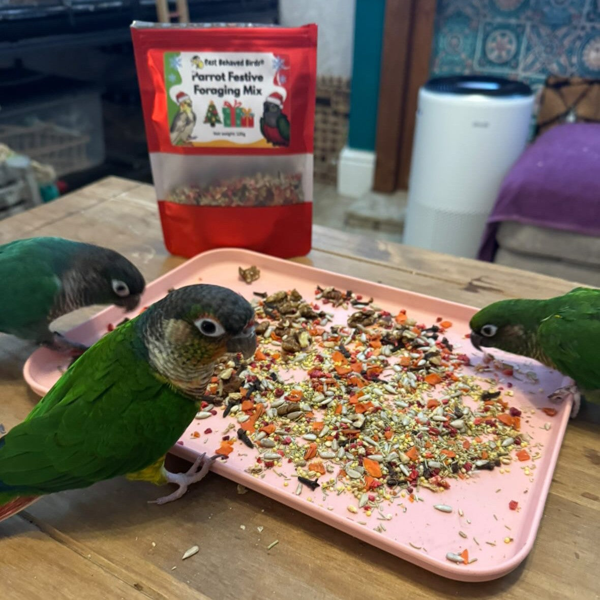 Parrot Festive Foraging Mix - Limited Edition 125g -  Best Behaved Birds