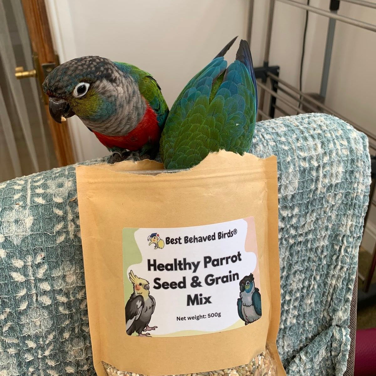 Healthy Parrot Seed and Grain Mix 500g - Best Behaved Birds