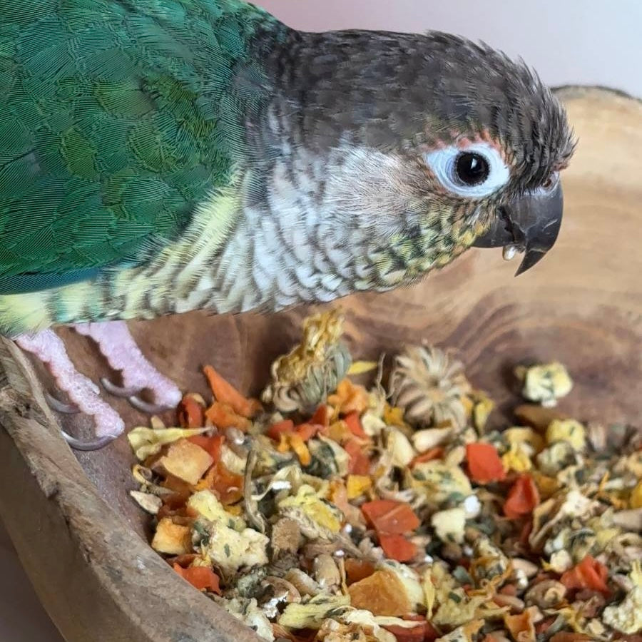Bird Digestive Support Mix 125g - Best Behaved Birds