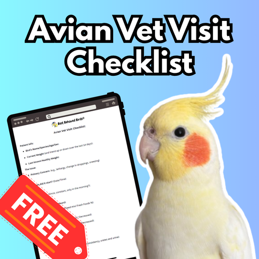 Avian Vet Visit Checklist - Best Behaved Birds