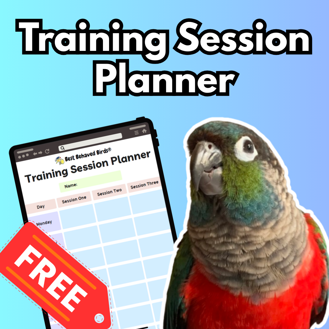 Parrot Training Session Planner - Best Behaved Birds