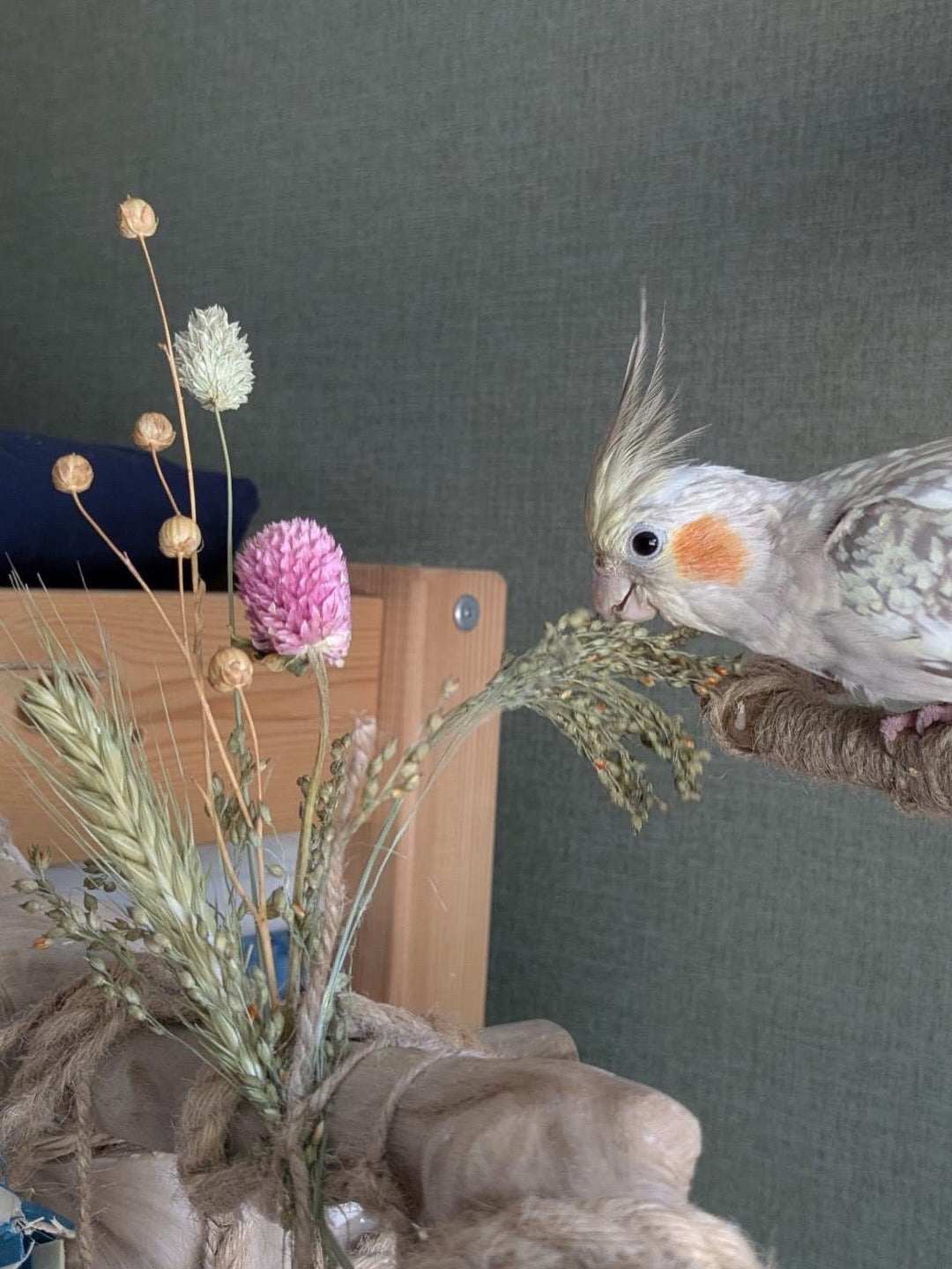 Bird Bouquets - Biodiversity Bird Blends
