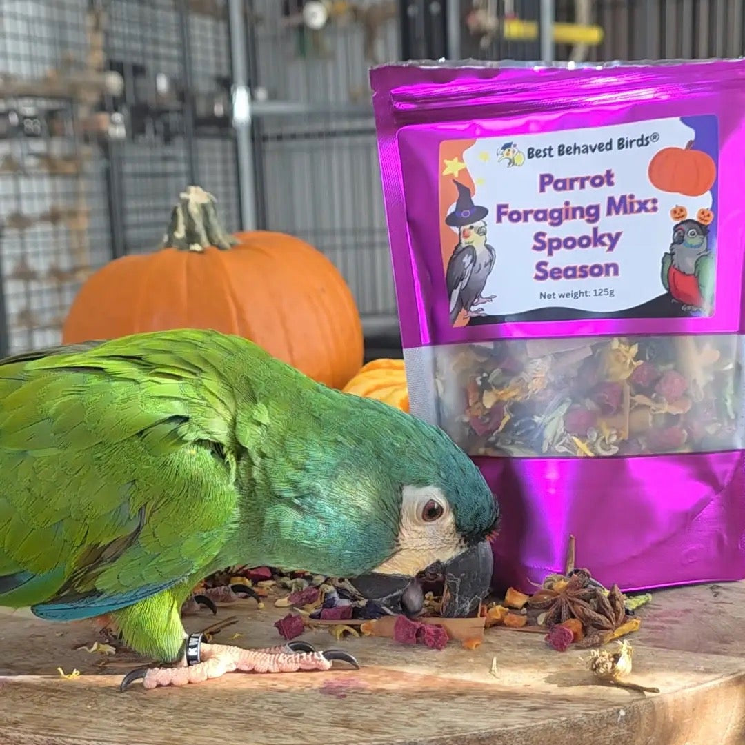 Parrot Foraging Mix: Spooky Season - Limited Edition 125g - Best Behaved Birds