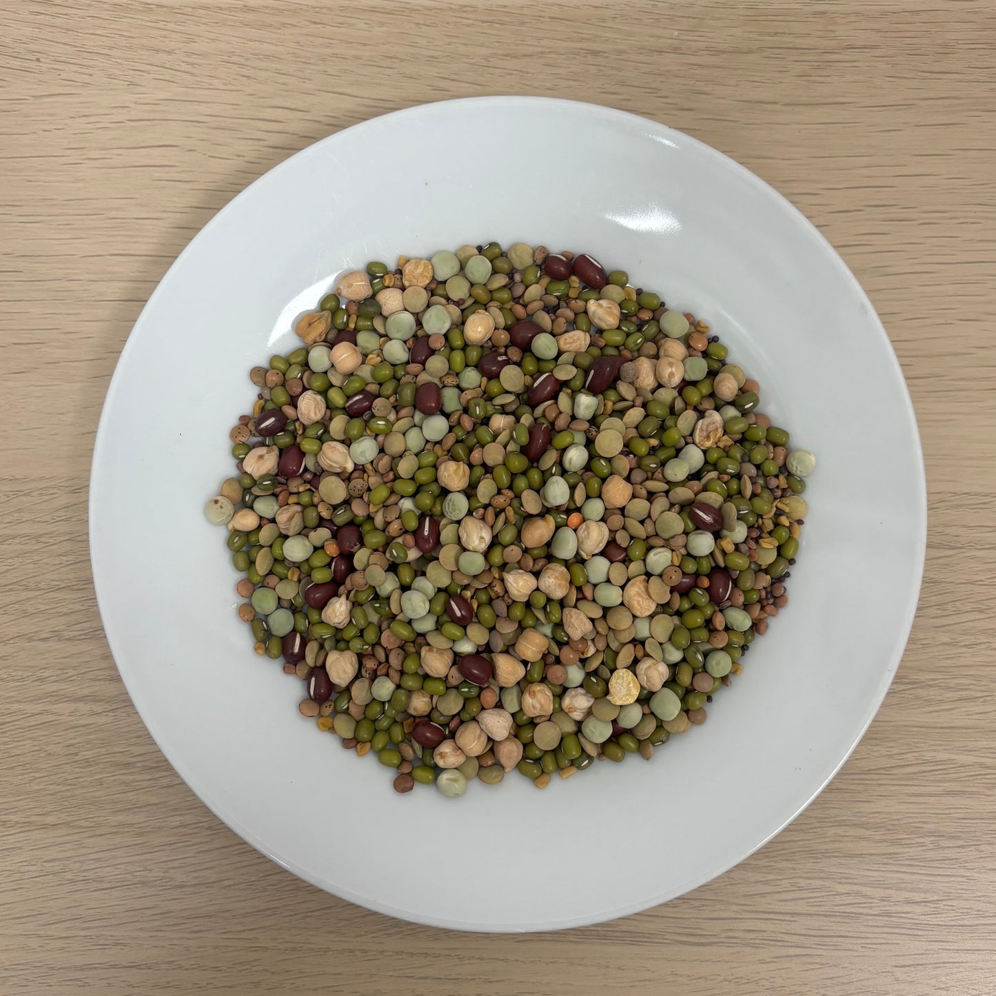 Healthy Parrot Sprouting Mix 500g - Best Behaved Birds