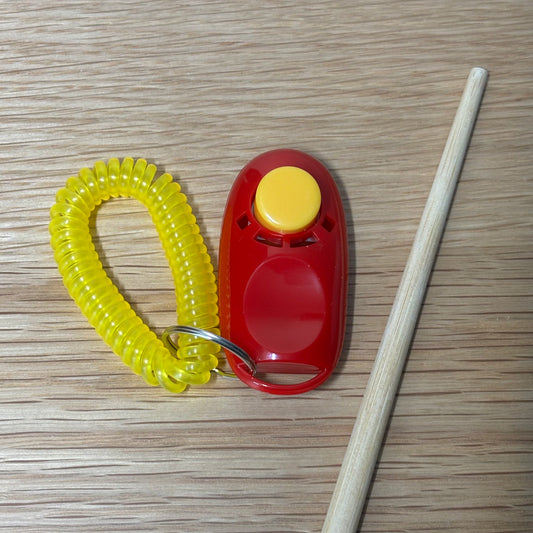 Bird Training Clicker and Target Stick - Best Behaved Birds