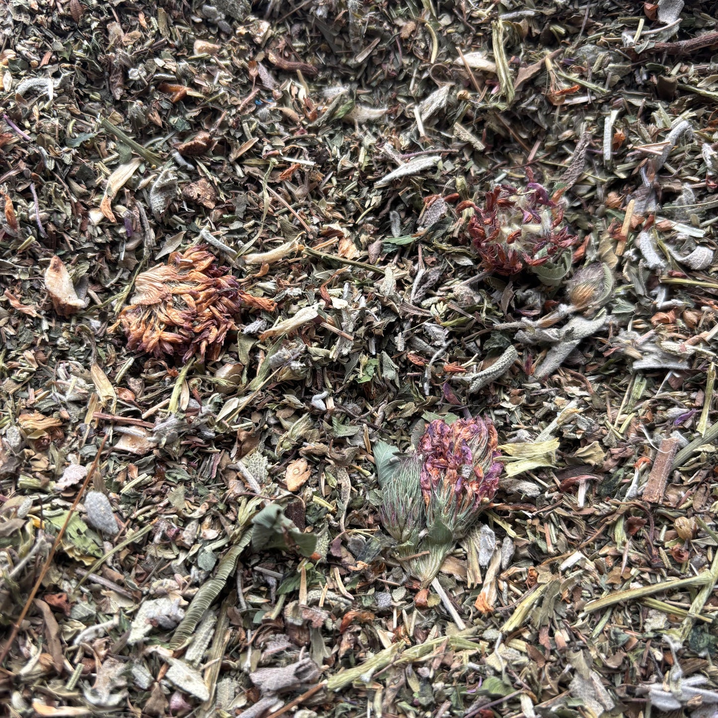 Biodiversity Green Forage - 4oz - Biodiversity Bird Blends