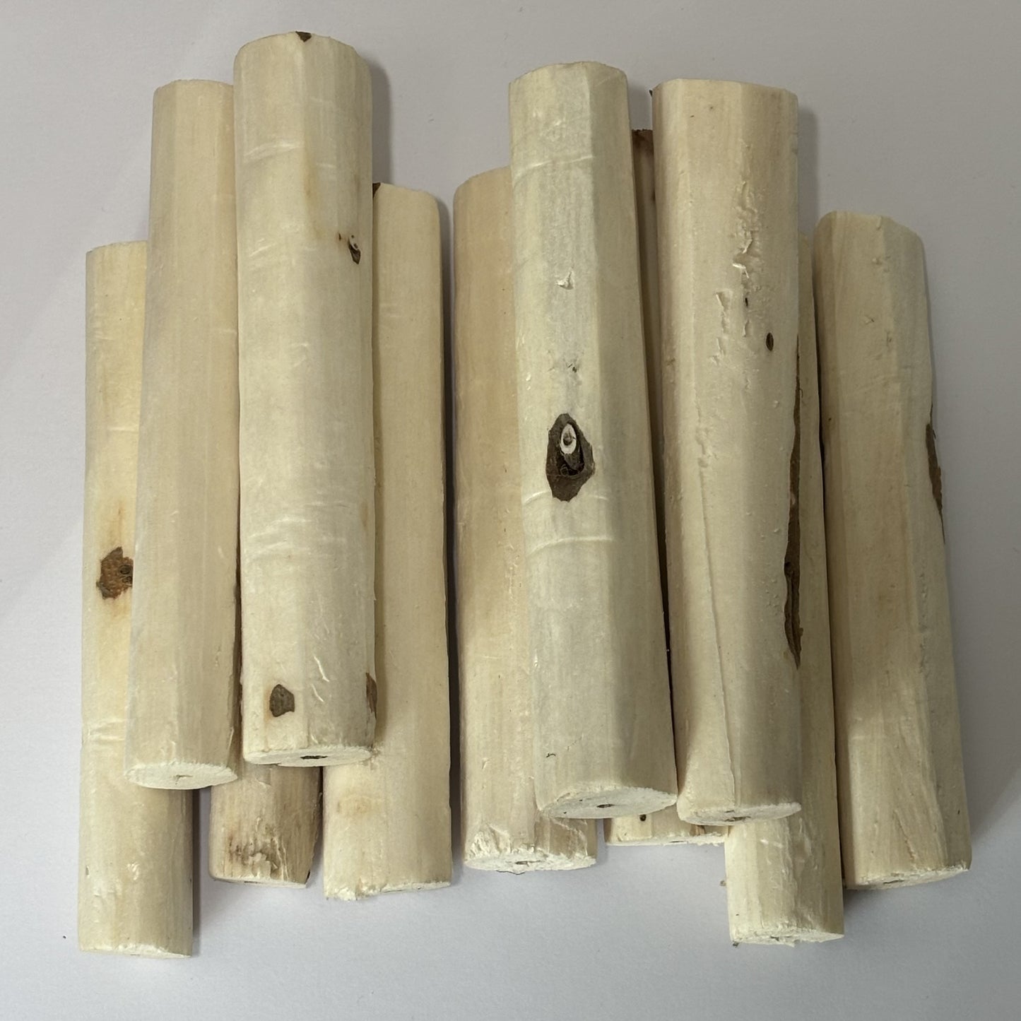 Sola Sticks - Pack of 10 - Best Behaved Birds