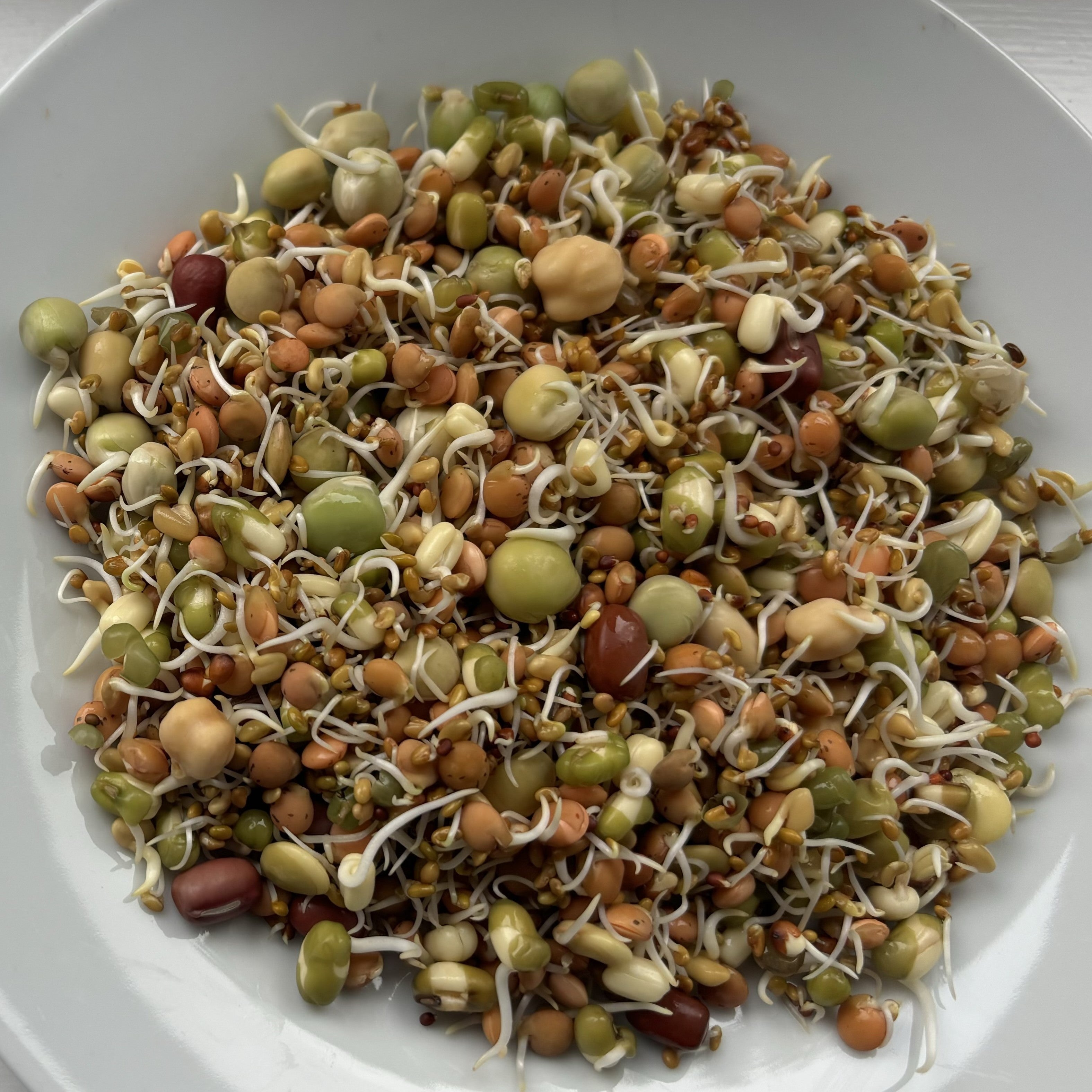 Healthy Parrot Sprouting Mix 500g - Best Behaved Birds