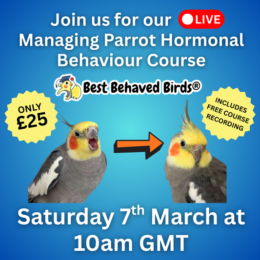 LIVE Managing Parrot Hormonal Behaviour Course - 10am GMT 7th March - Best Behaved Birds
