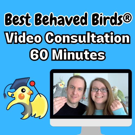 Parrot Training Video Consultation - 60 Minutes