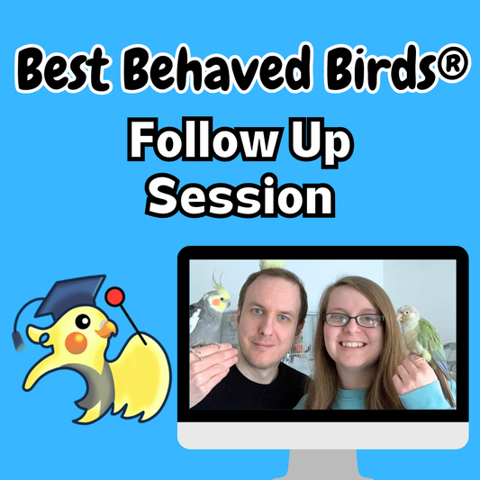 Parrot Training Video Follow Up Session - 30 Minutes